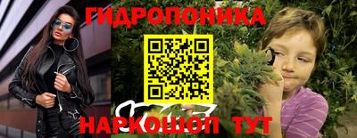 дмт Славгород