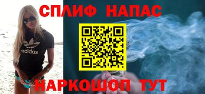 дмт Славгород