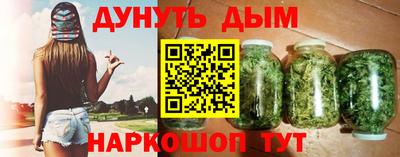 дмт Славгород