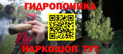 дмт Славгород