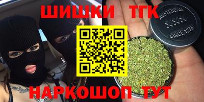 дмт Славгород